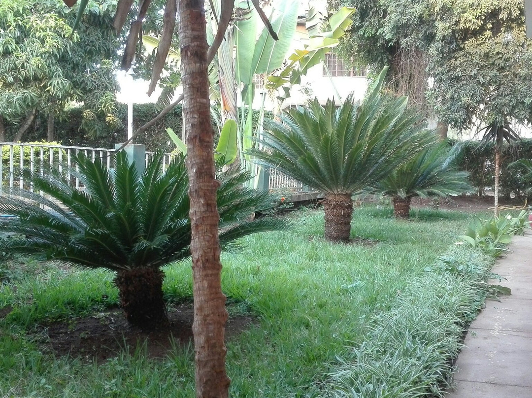 Kilimanjaro Safaris Lodge主图