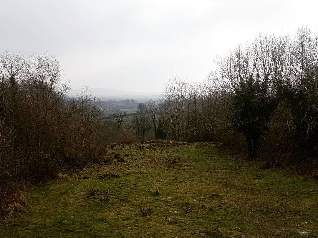 Mooghaun Hill Fort-克莱尔郡必去景点