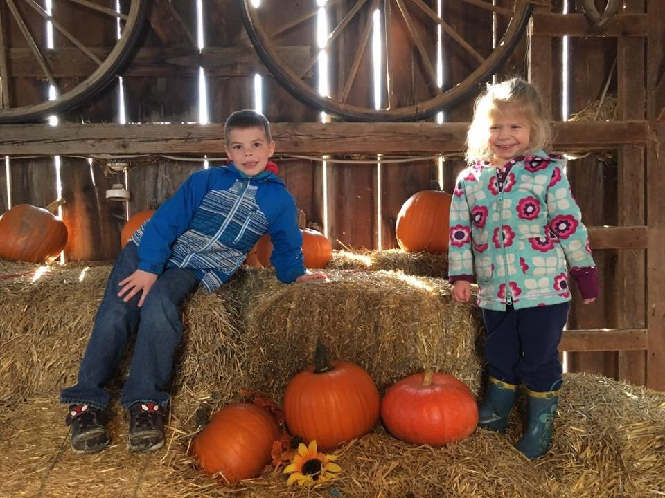 Gammondale Farm-Slate River Valley必去景点