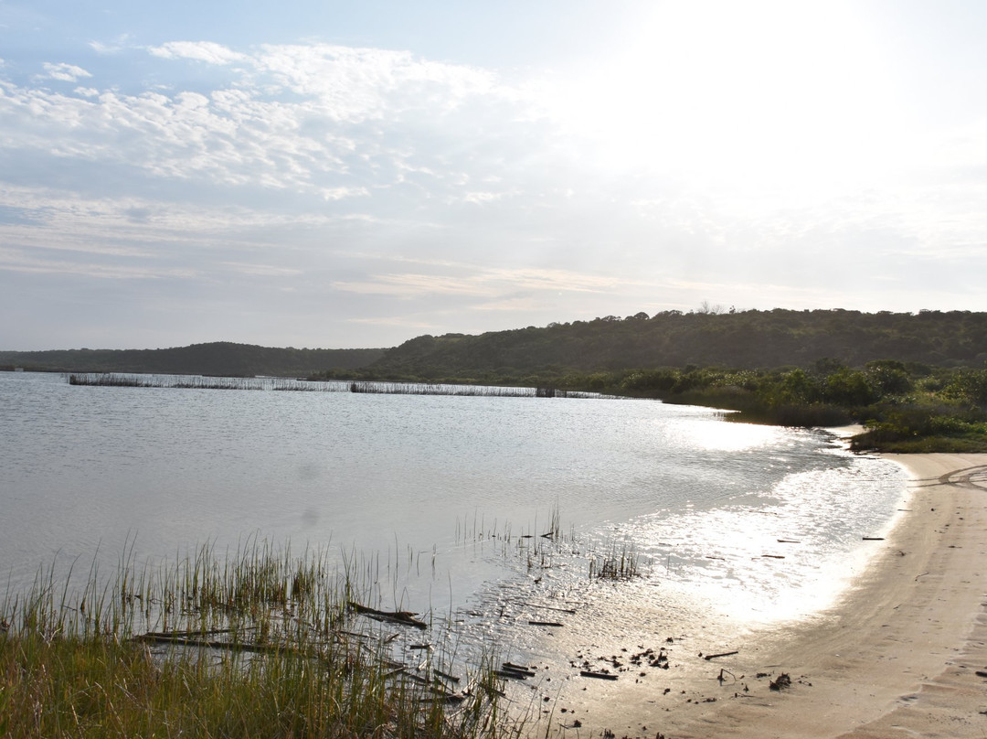 Kosi Bay Nature Reserve景点图片