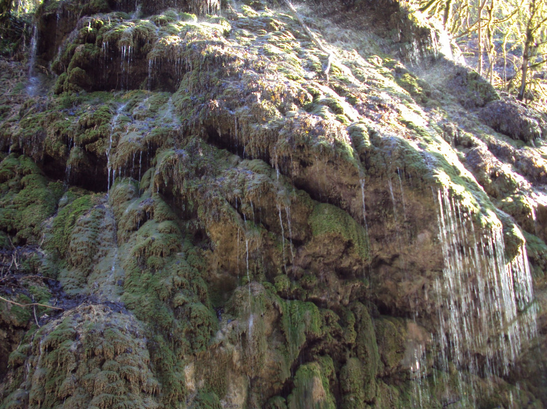 Weeping Rocks Waterfall景点图片