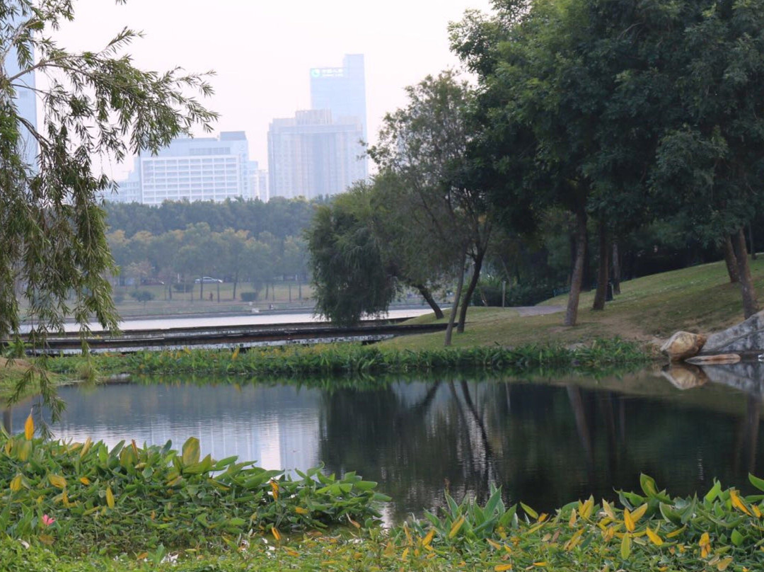 深圳中心公园景点图片