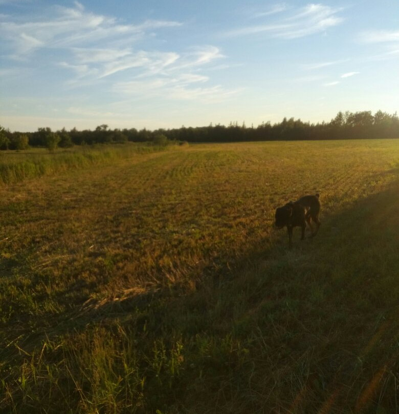 PEI Cruise Ship Shore Excursions-夏洛特镇必去景点