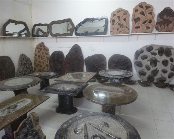 Erfoud旅游景点-Morabit Fossils