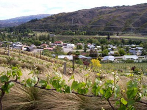 Clyde Village Vineyard-克莱德必去景点