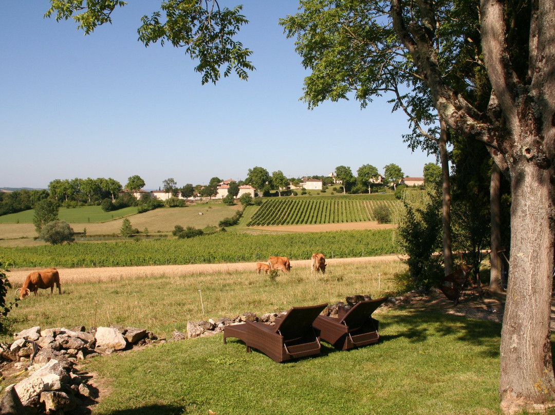 Domaine de Cantecor主图