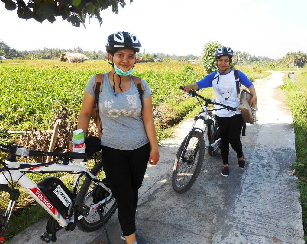 Green Bikes Bali e-bike tours Ubud景点图片