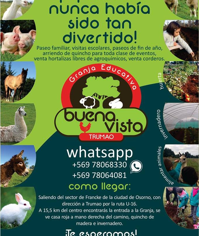 Granja Educativa Buena Vista-Osorno必去景点