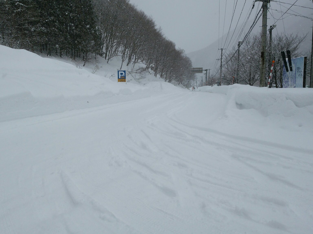 Aizu Kogen Takahata Ski Area景点图片