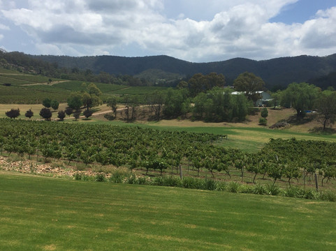 Hunter Wine Journeys-波高尔宾必去景点