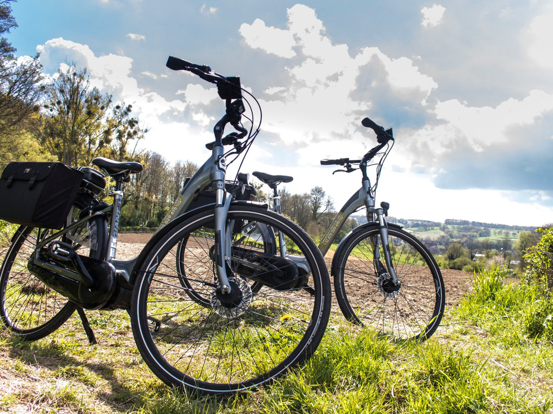 E-bikes to go景点图片
