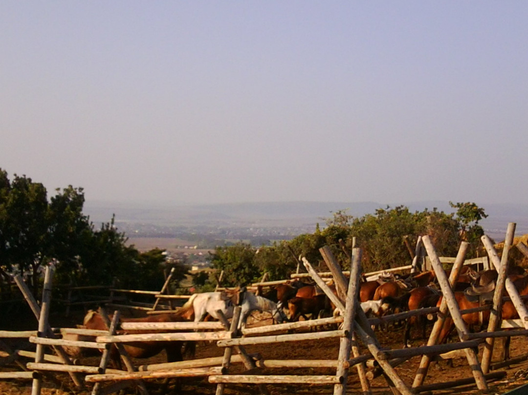 Horse Riding in Sukko Anapa-Sukko必去景点