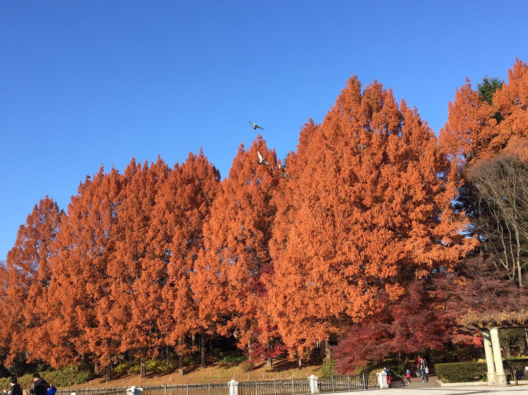 Tochigiken Chuo Park-宇都宫市必去景点
