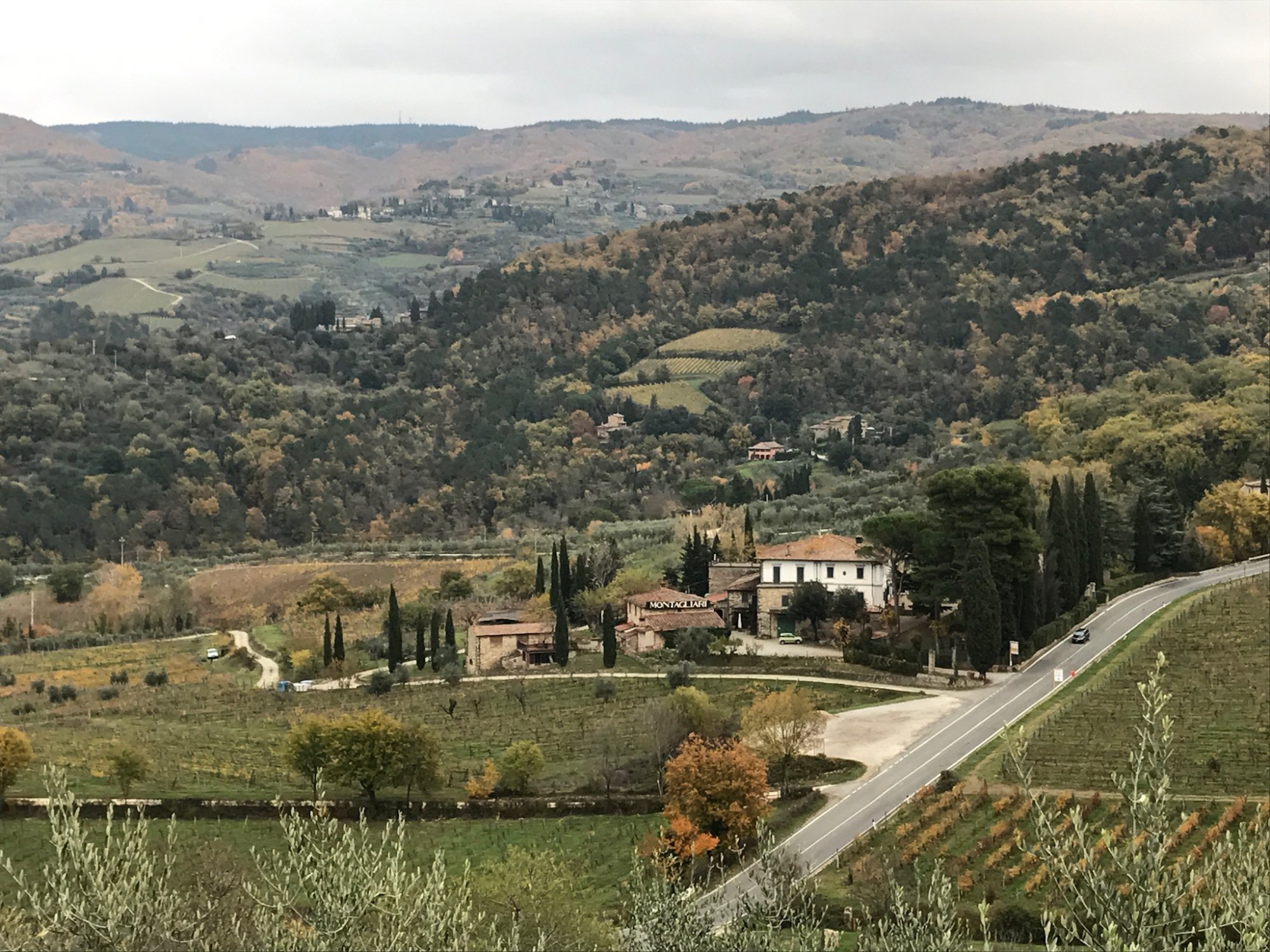 Castello di Mugnana-酒店景观