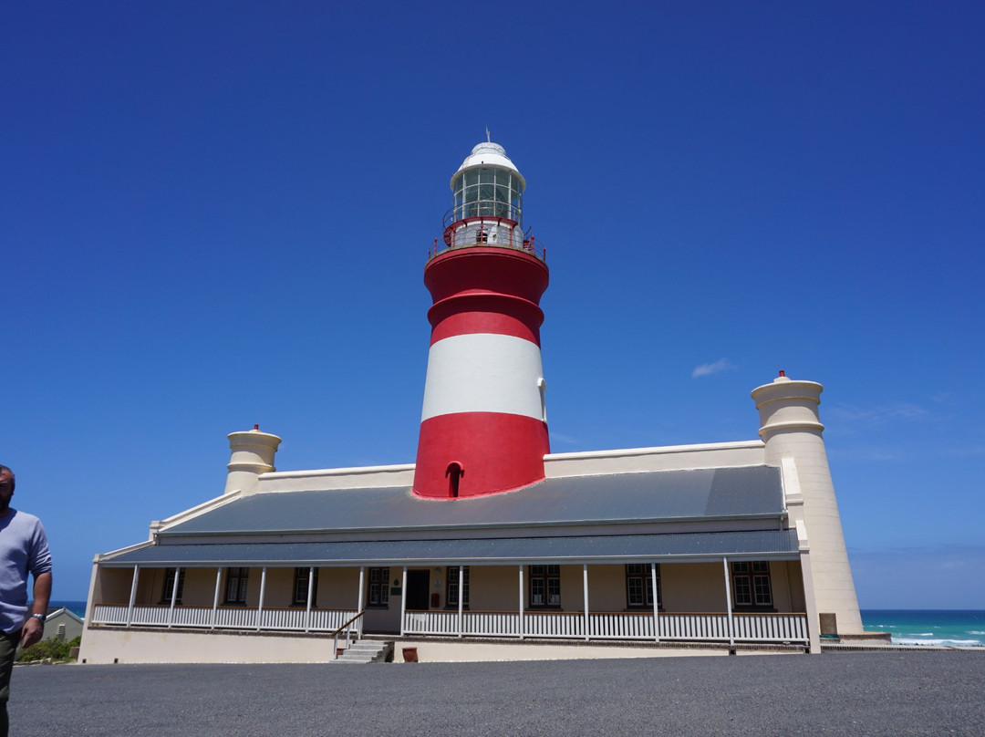 Personal Cape Town Tours Day Tours-Strandfontein必去景点