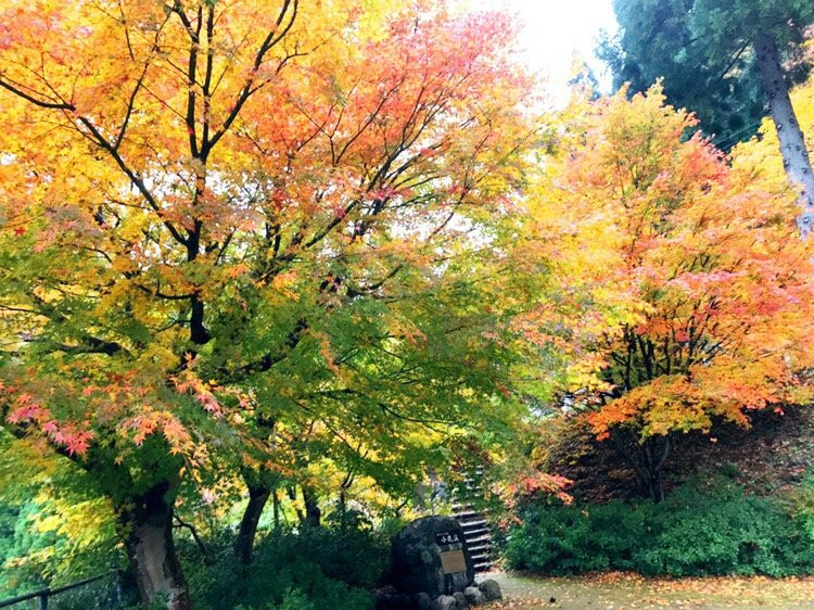 Oshika Valley景点图片