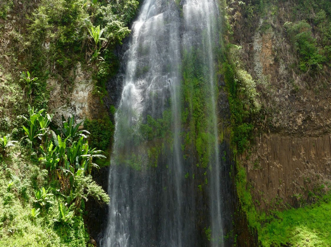 Barta Waterfall景点图片