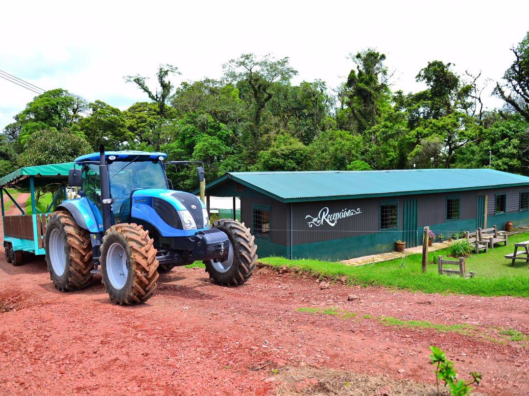 Organic Strawberry & Dairy Farm-圣何塞必去景点