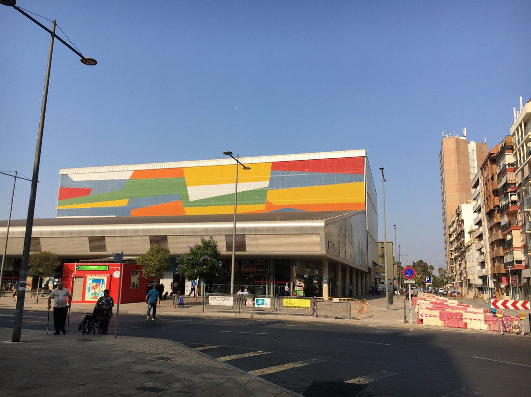 Nuevo Mercado Del Carmen景点图片