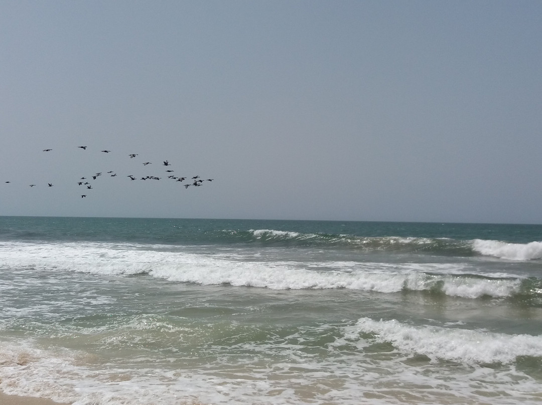 Plage de Nouakchott景点图片