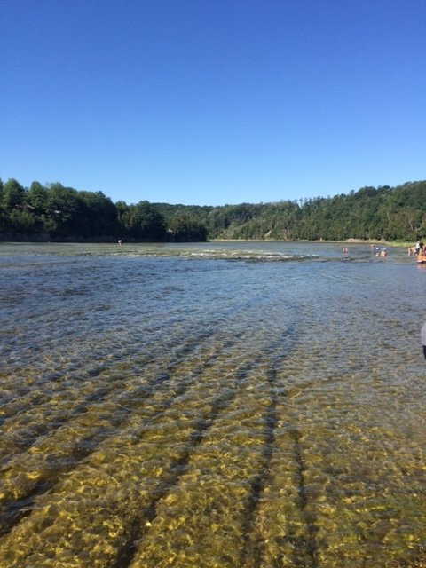 Falls Reserve Conservation Area景点图片