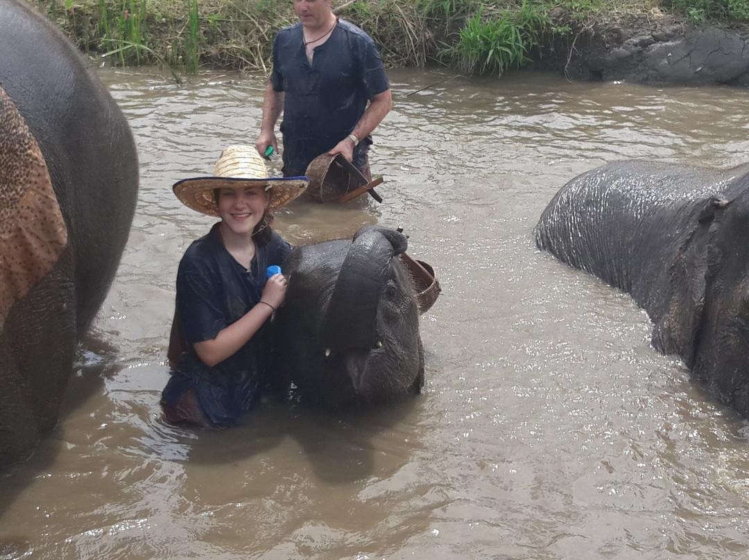 Lanna Kingdom Elephant Sanctuary-清迈必去景点
