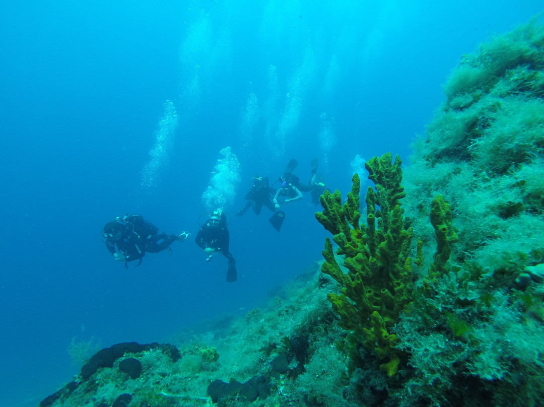 Zoumbosub Diving Center景点图片