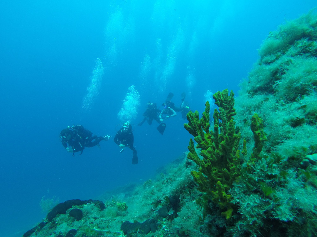 Zoumbosub Diving Center-沃洛斯必去景点