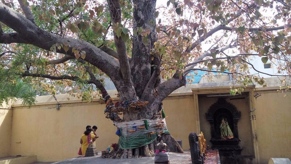 Adhi Kamakshi Amman Temple-甘吉布勒姆必去景点