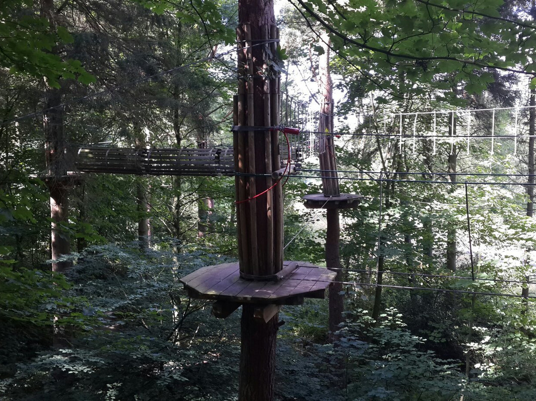 Go Ape Matfen-Matfen必去景点