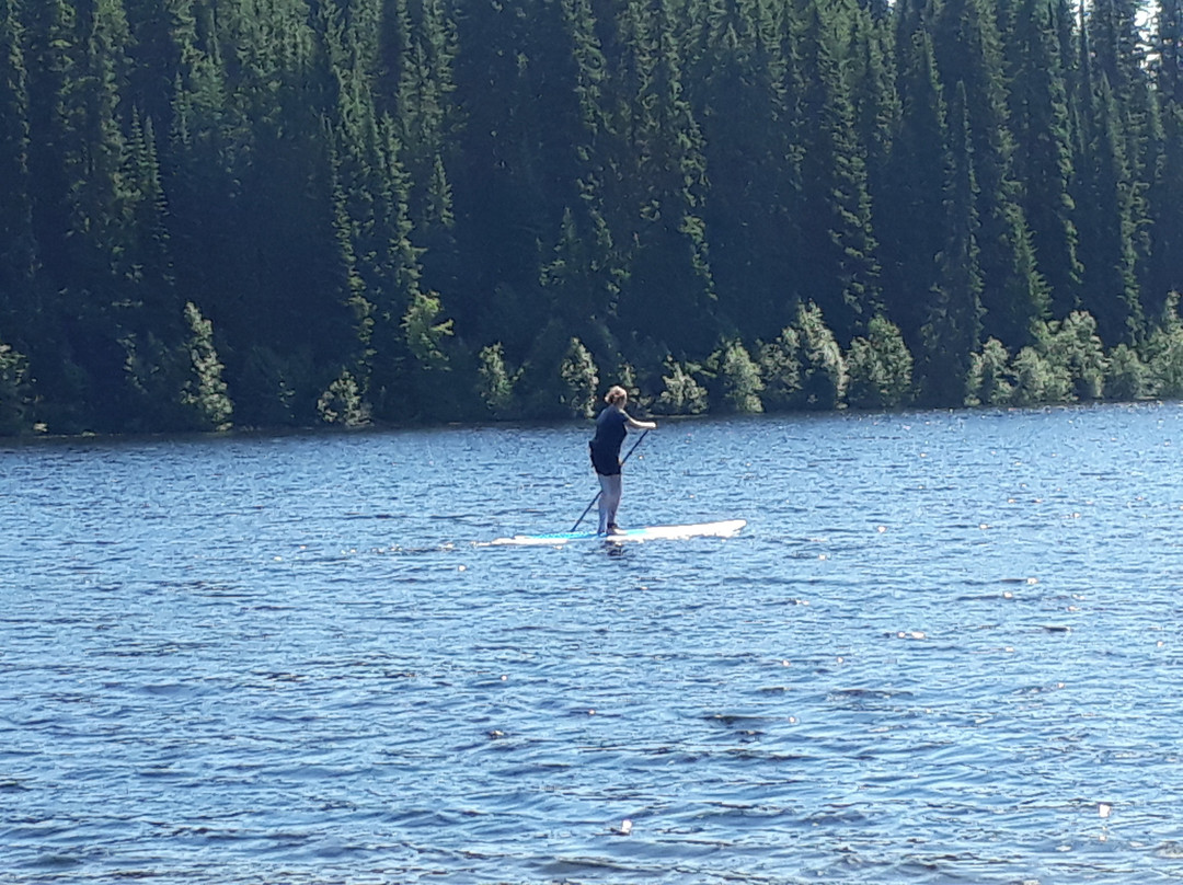 Liquid Lifestyle Paddleboard Co.景点图片