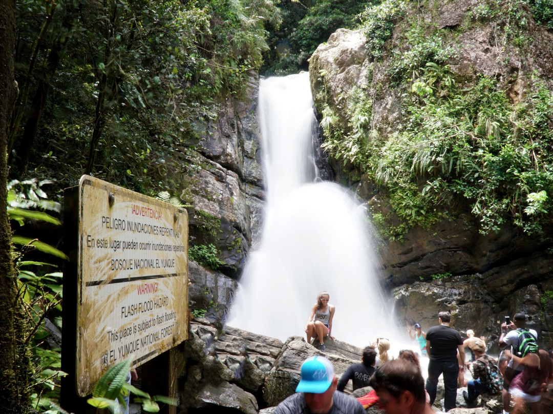 Catarata La Mina-云盖国家森林公园必去景点