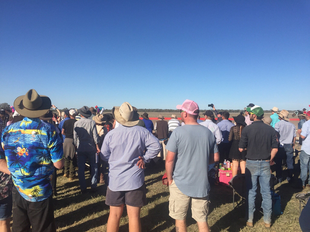 Louth Races-Bourke必去景点