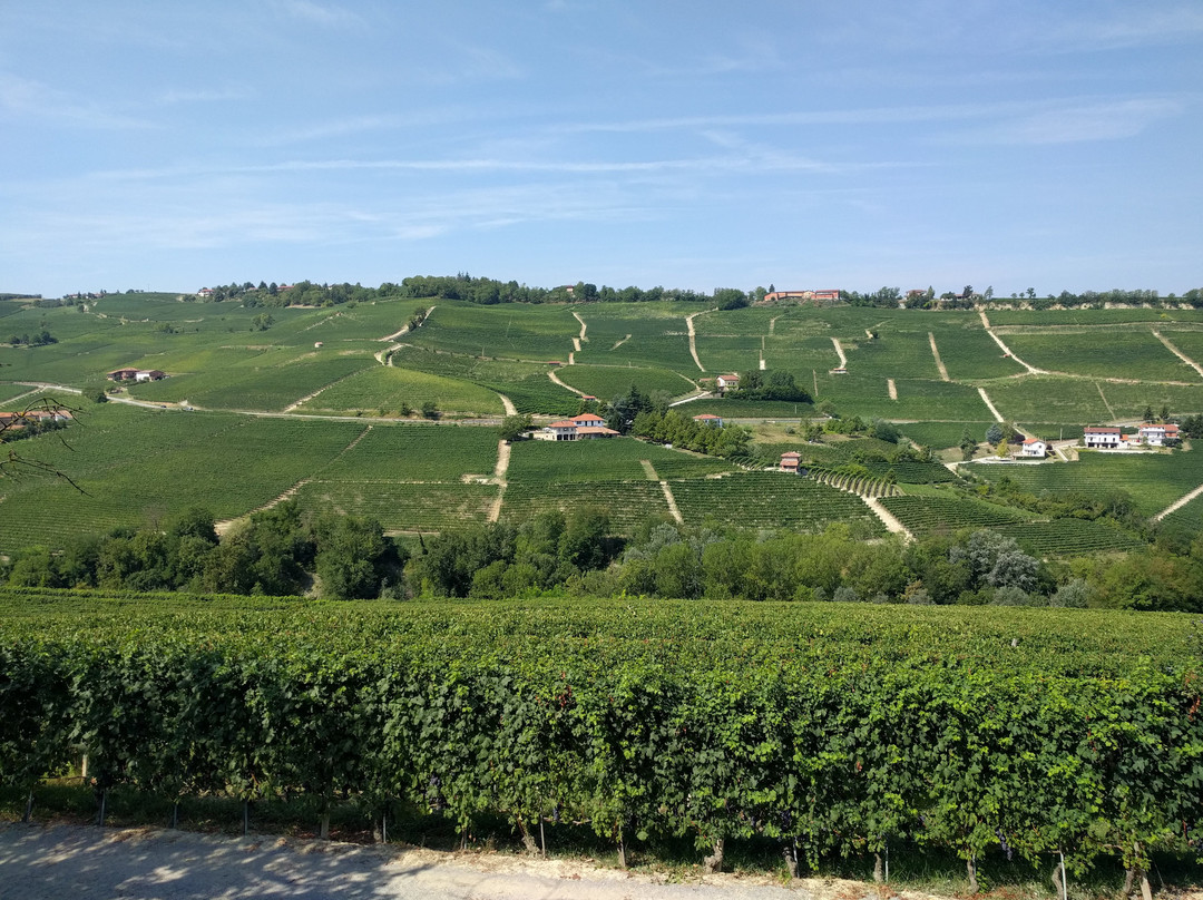 Azienda Agricola Gomba Cascina Boschetti-巴罗洛必去景点