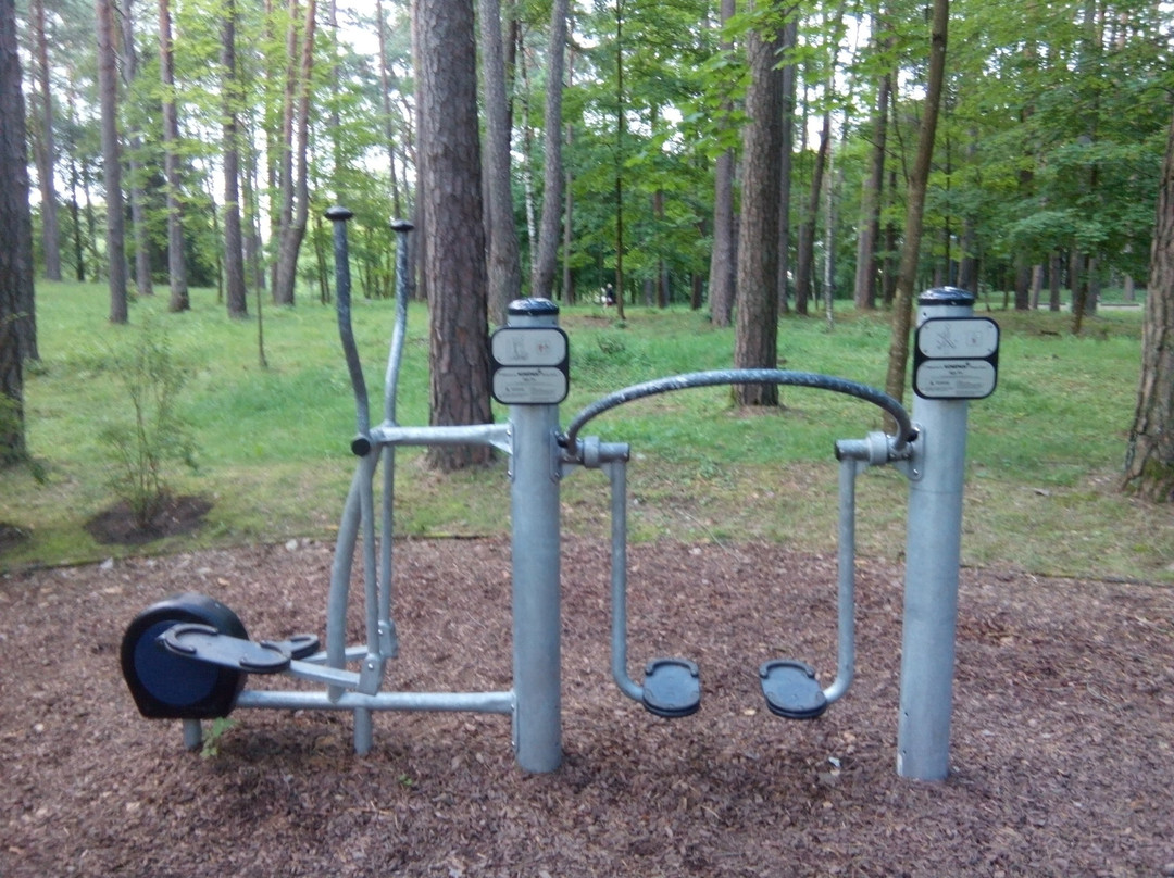 K.Dineika Wellness Park-德鲁斯基宁凯必去景点