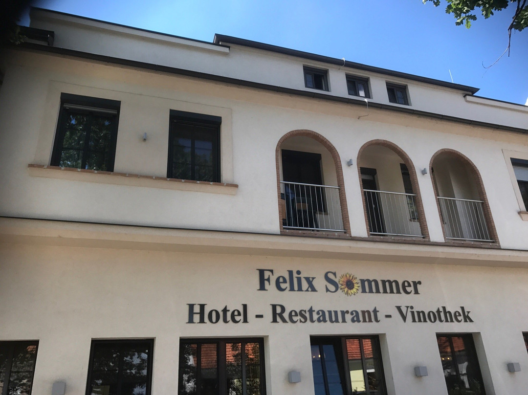 Bad Pirawarth餐馆和美食-Restaurant-Hotel-Vinothek Sommer Felix