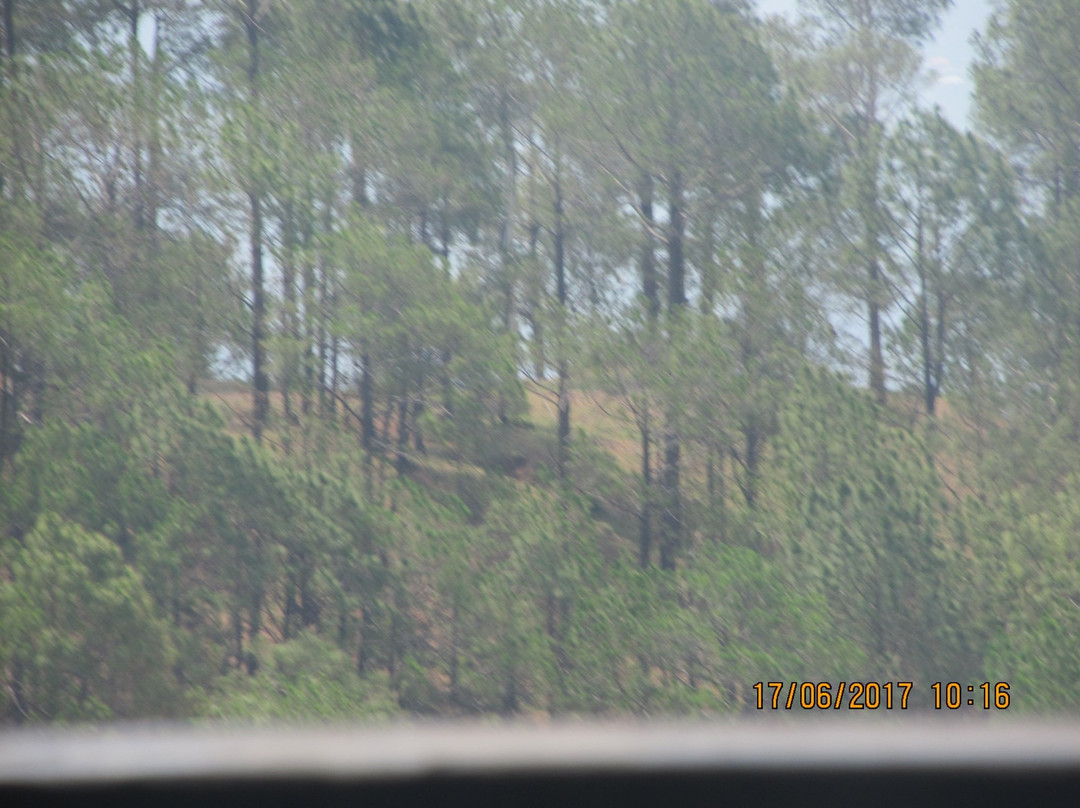 Monkey Point-Kasauli必去景点