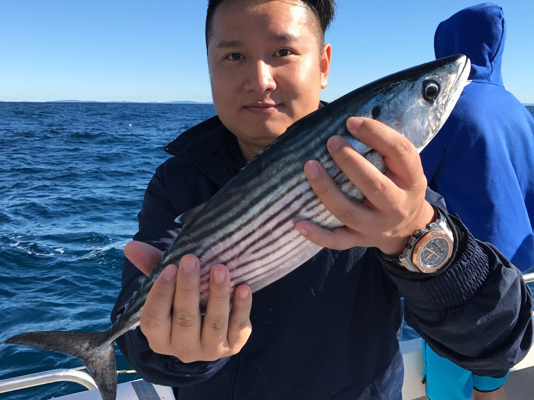 Terrigal Blue Water Fishing Charters景点图片