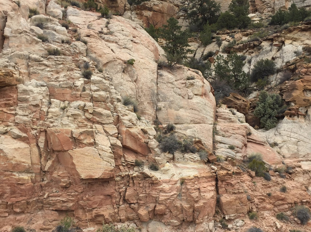 The Hogback-Boulder必去景点