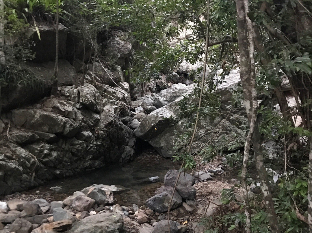 Airlie Creek Track-艾尔利滩必去景点