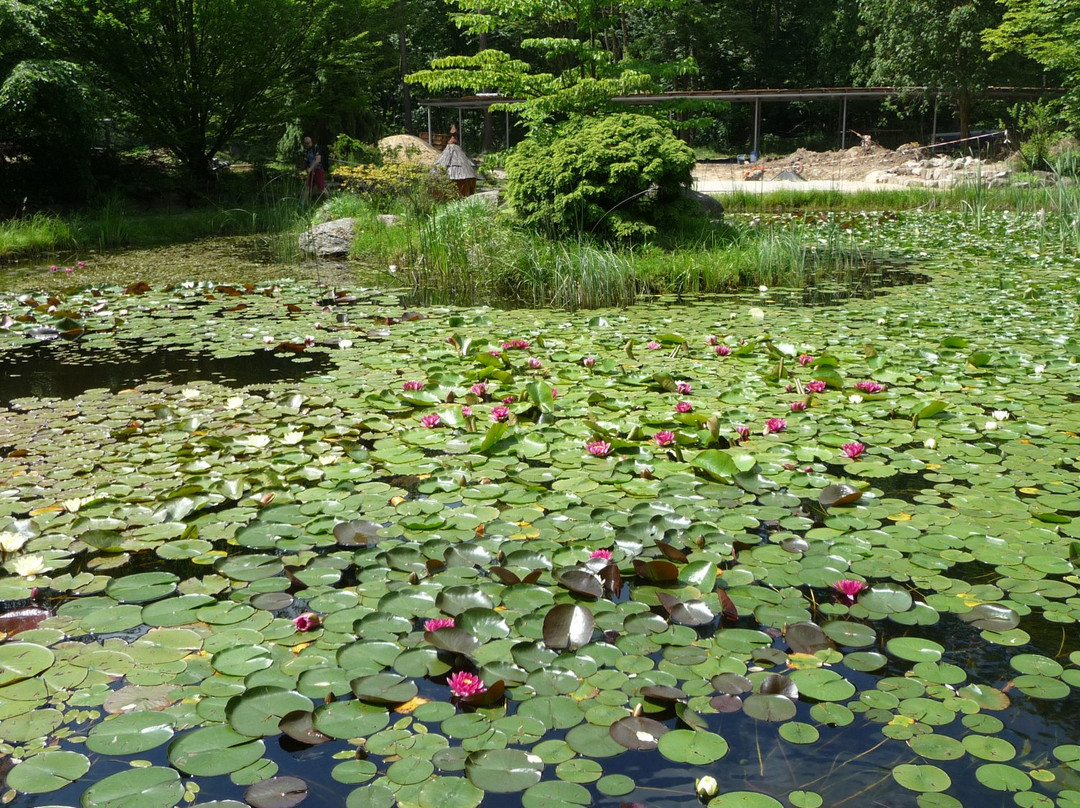 Arboretum SGGW景点图片
