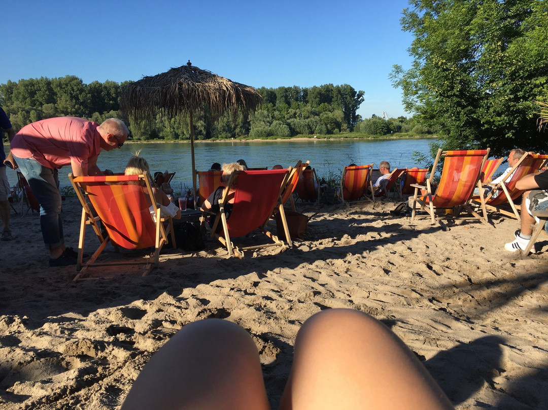 Rheinstrand Speyer景点图片