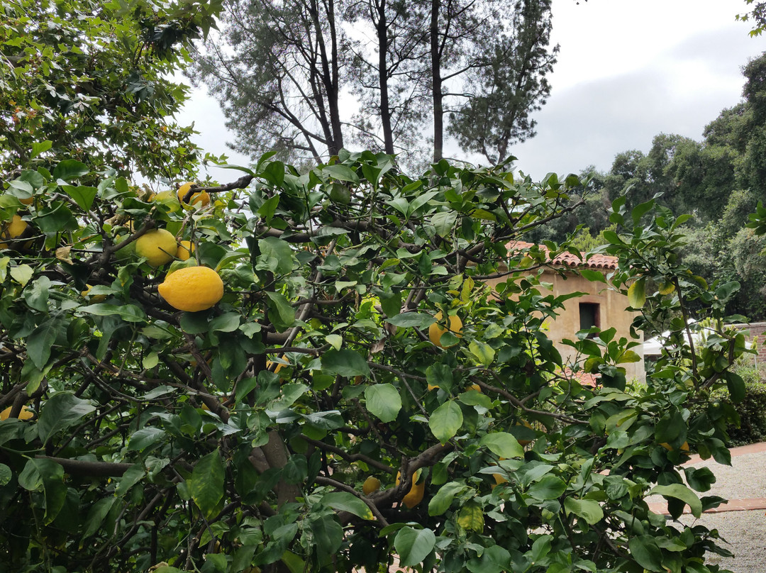 The Old Mill-圣玛利诺必去景点