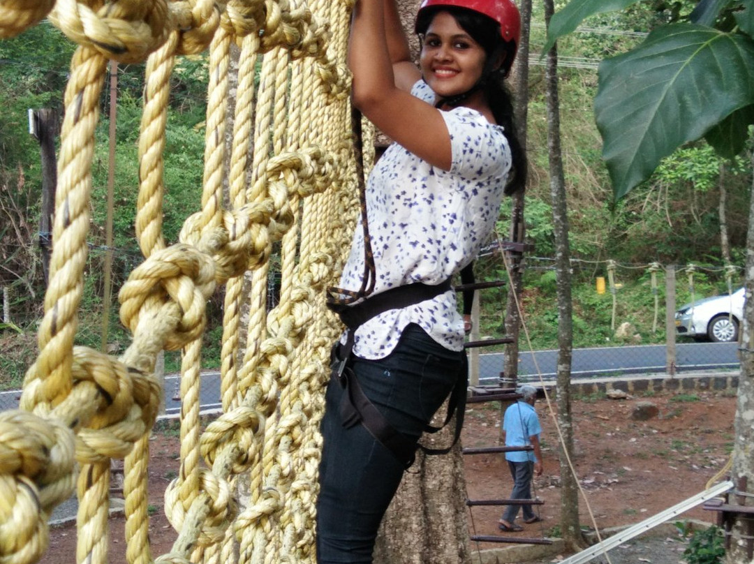 Grange TreeTop Adventure景点图片