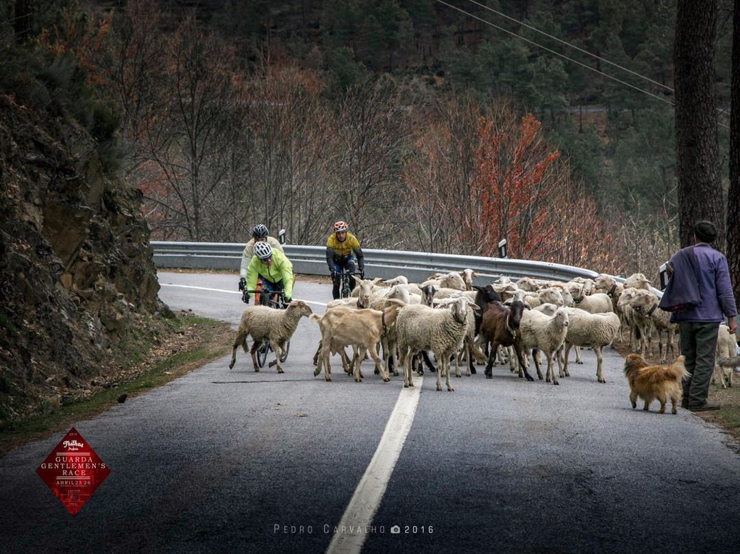 ActiveWay景点图片