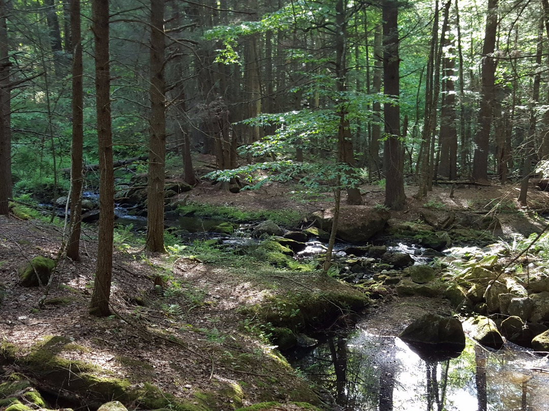 Campbell Falls State Park景点图片