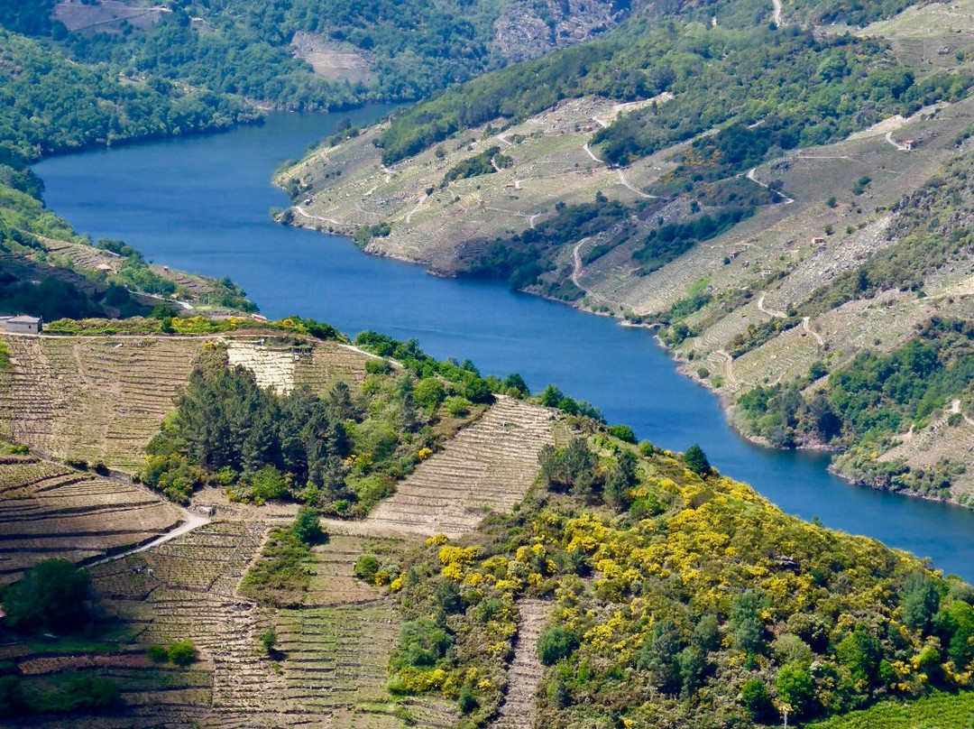 Lugo Terra-Sober必去景点