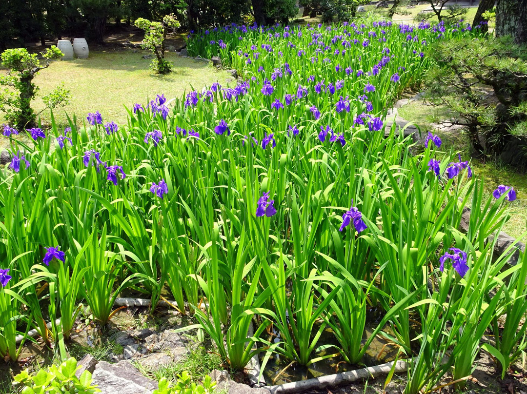 Yosuien-和歌山市必去景点
