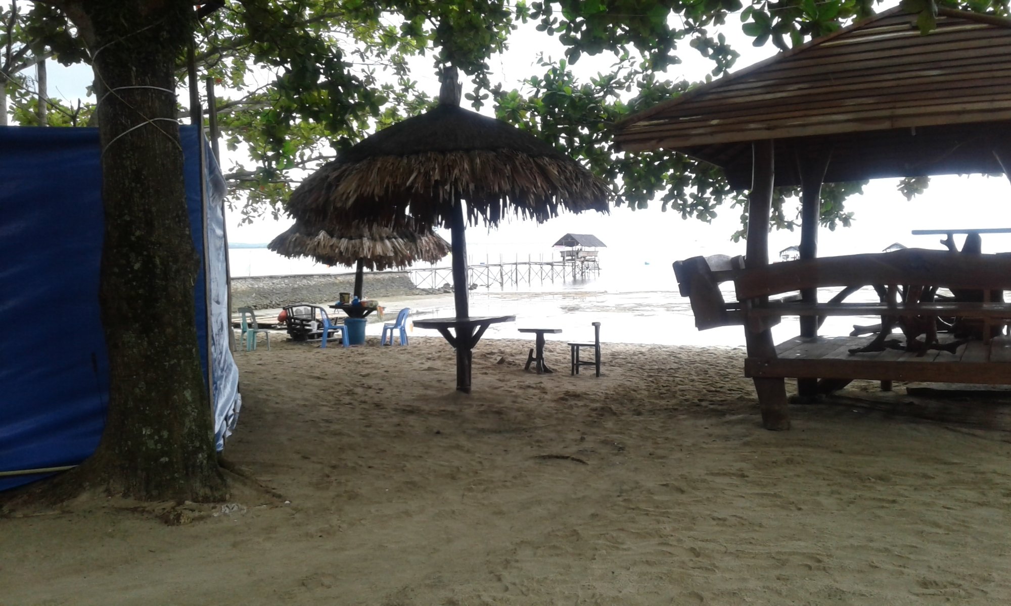 Bonhomie Leisure & Resort-泳池