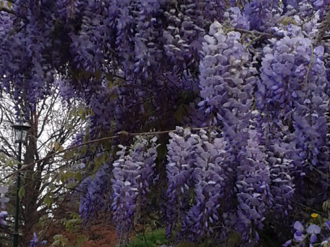 Parco Pubblico Villa Genero-都灵必去景点